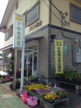 「乙女生花店」　（栃木県小山市）の花屋店舗写真1