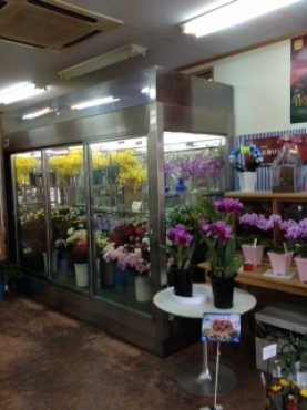 「乙女生花店」　（栃木県小山市）の花屋店舗写真2